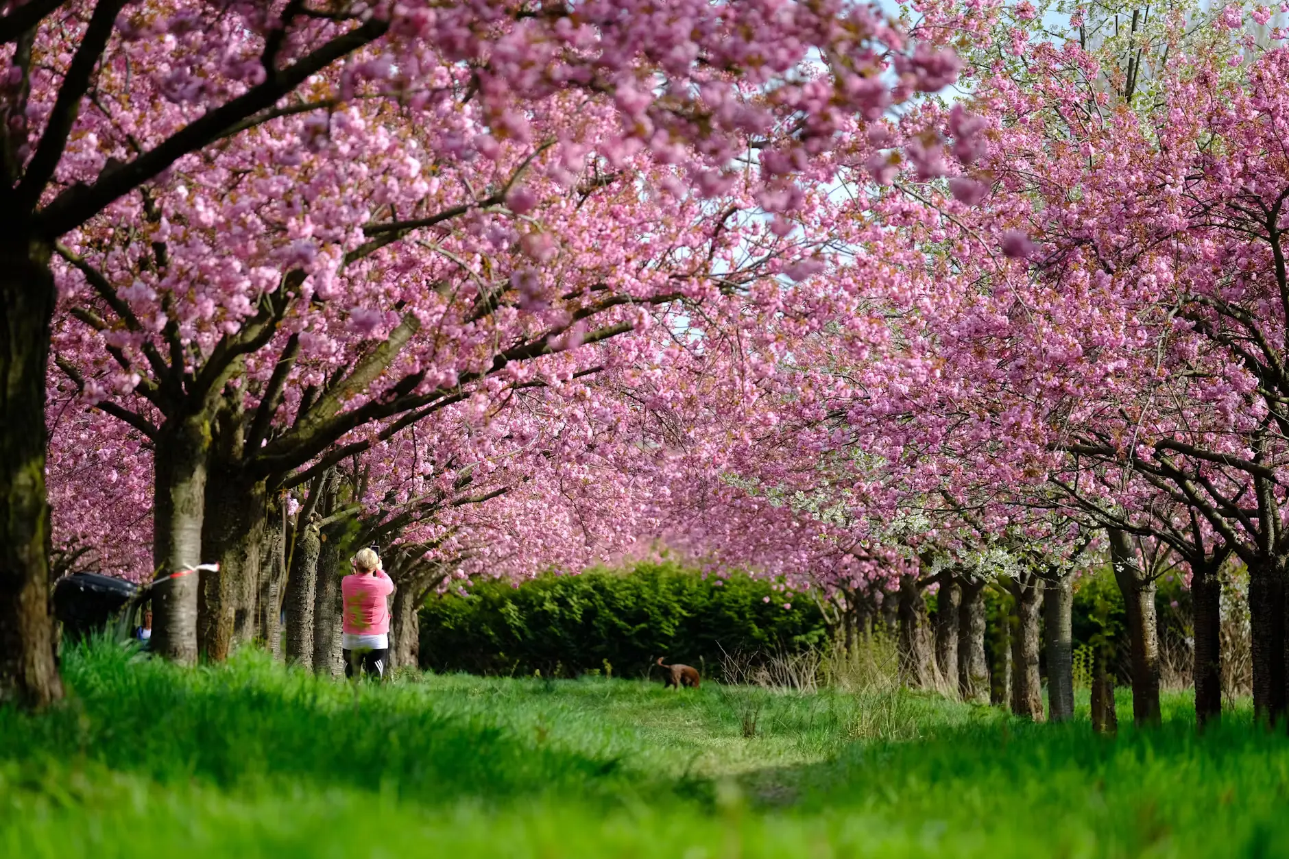 The Berlin Wall Trail Today